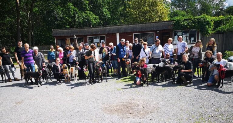 Open Day and Auction-18th September
