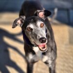 Coco-now reserved