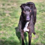 Tom-now reserved