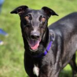 Mia – reserved
