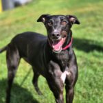 Jack – reserved