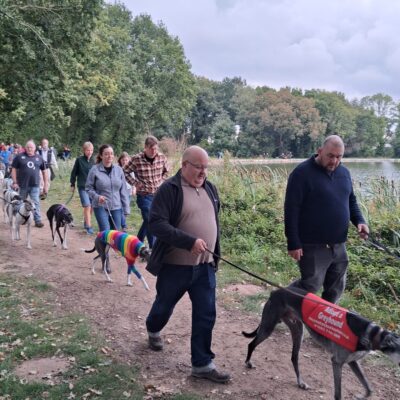 walkers with dogs